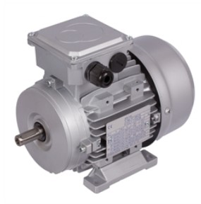 Three Phased Motors